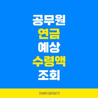 공무원 연금 예상 수령액 조회