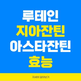 루테인 지아잔틴 아스타잔틴 효능