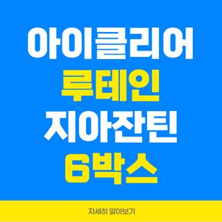 아이클리어 루테인 지아잔틴 6박스