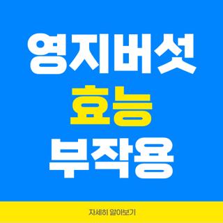 영지버섯 효능 부작용