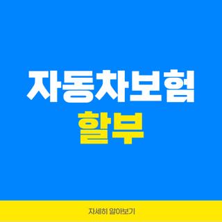자동차보험 할부