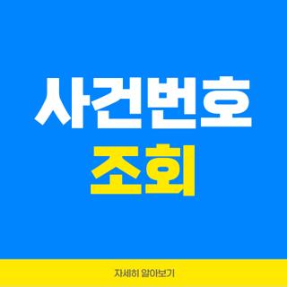 사건번호 조회