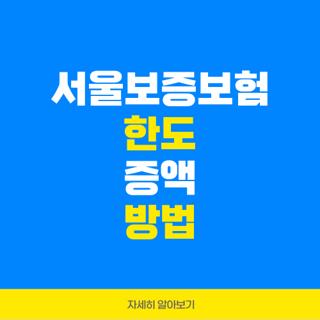 서울보증보험 한도 증액 방법