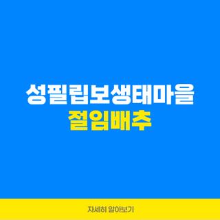 성필립보생태마을 절임배추
