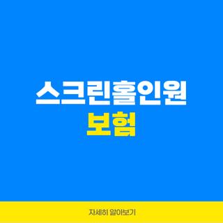 스크린홀인원 보험