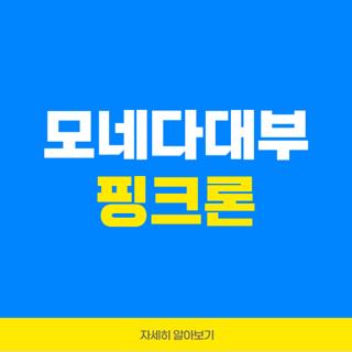 모네다대부 핑크론