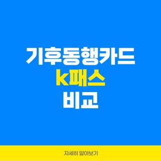 기후동행카드 k패스 비교