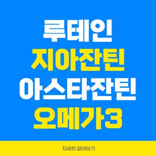 루테인 지아잔틴 아스타잔틴 오메가3